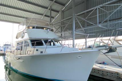 Tollycraft 43 Motor Yacht