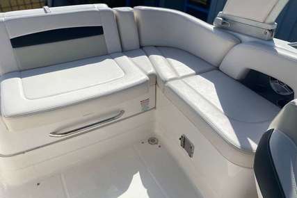 Chaparral 224 Sunesta