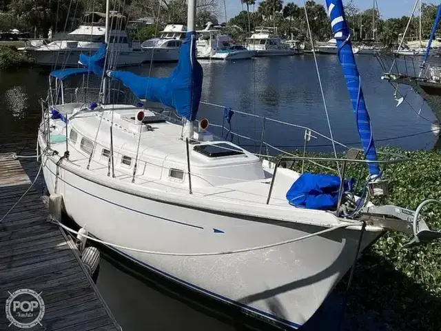 Allied Princess 36