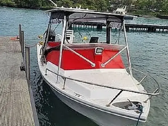 Force Boats 21WA