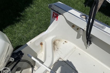 Boston Whaler 22 Revenge Wt