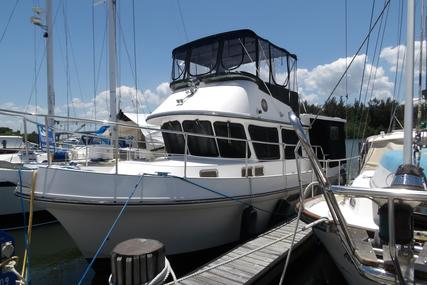 Albin 36 Express Trawler