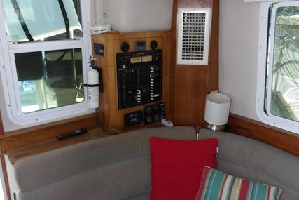 Albin 36 Express Trawler