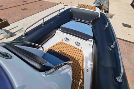 Grand RIB 650 GOLDEN LINE