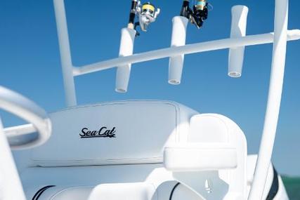 Sea Cat Boats 260 CC