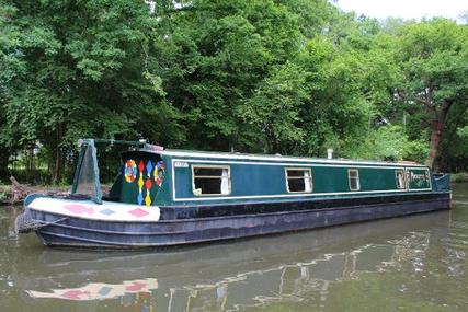 Narrowboat 50' Cruiser Stern