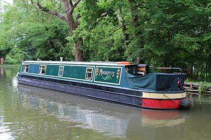 Narrowboat 50' Cruiser Stern