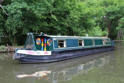 Narrowboat 50' Cruiser Stern