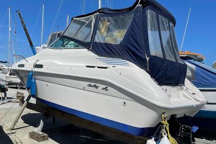 Sea Ray Sundancer 230