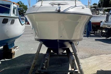 Sea Ray Sundancer 230