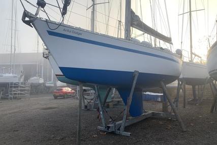 Colvic Liberator 35