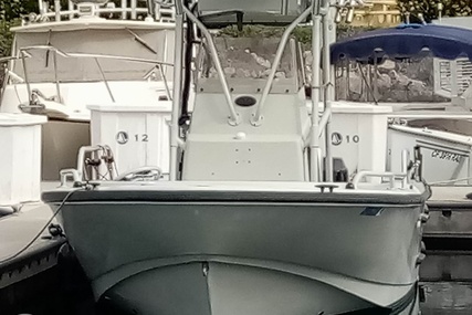 Boston Whaler 240 Outrage Guardian Utility