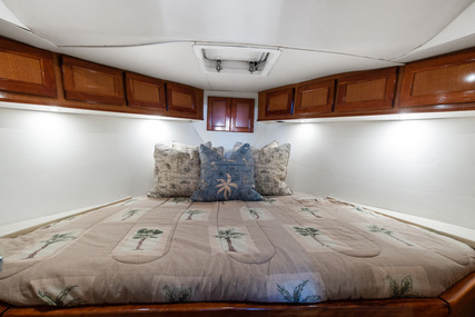 Hatteras Trunk Cabin