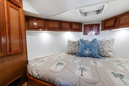 Hatteras Trunk Cabin