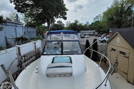 Bayliner Trophy 2509