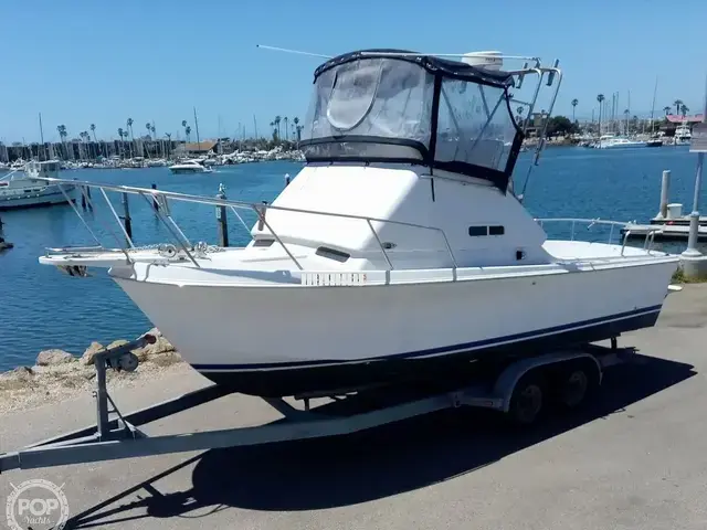 Skipjack Boats 24 flybridge