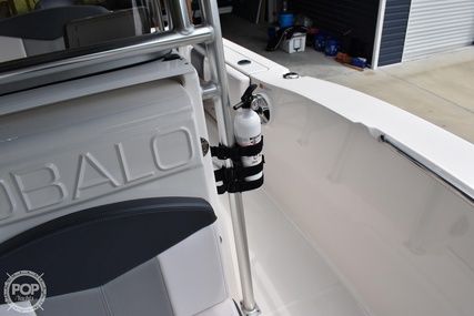 Robalo R202 EX