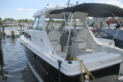 Bayliner 266 Discovery