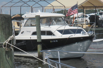 Bayliner 266 Discovery