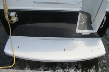 Bayliner 266 Discovery