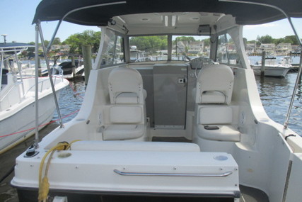 Bayliner 266 Discovery