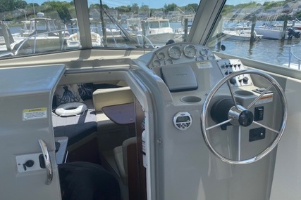 Bayliner 266 Discovery