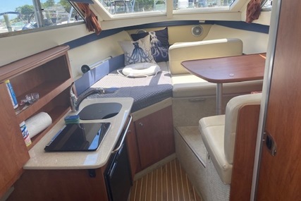 Bayliner 266 Discovery