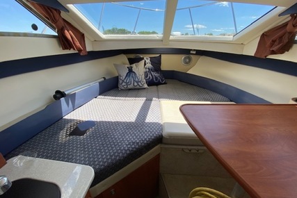 Bayliner 266 Discovery