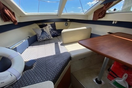 Bayliner 266 Discovery