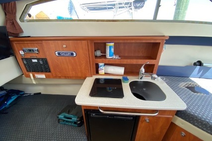 Bayliner 266 Discovery