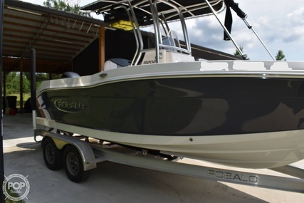 Robalo R202 EX