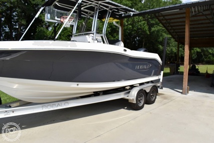 Robalo R202 EX