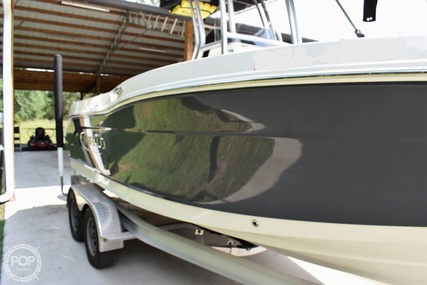 Robalo R202 EX