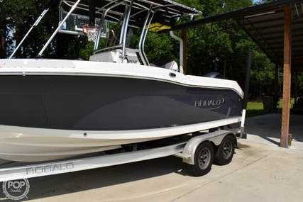 Robalo R202 EX