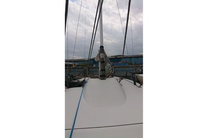 Melges 24