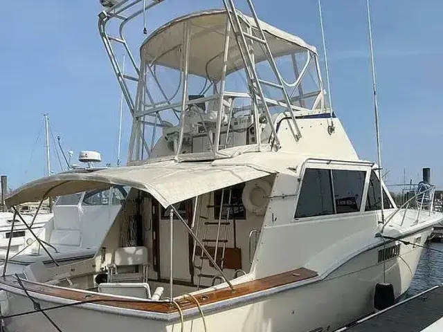 Hatteras 38c