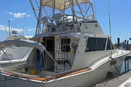 Hatteras 38c