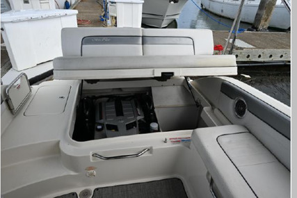 Sea Ray 280 Sundeck