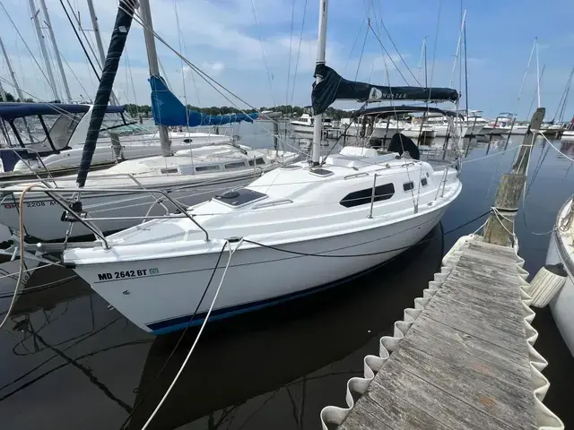 Hunter 306