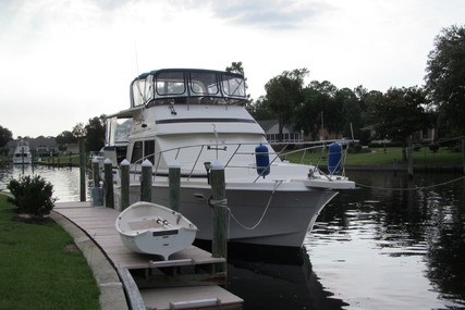 Chris Craft Catalina 426