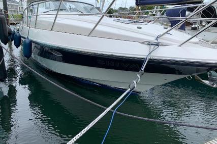 Windy 35 Mistral