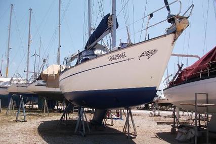 Bavaria 40 Ocean