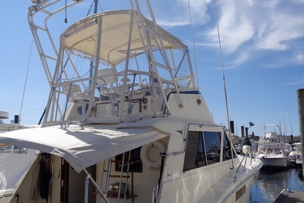 Hatteras 38c