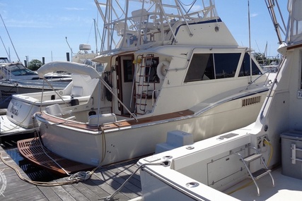 Hatteras 38c