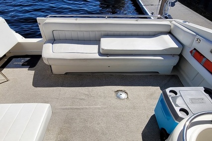 Sea Ray 37 Express Cruiser