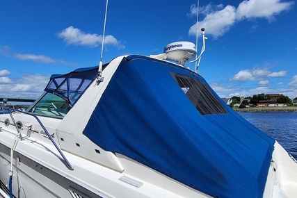 Sea Ray 37 Express Cruiser