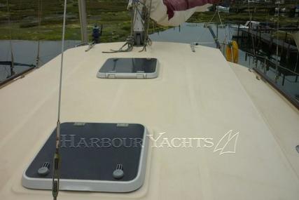 Prout Snowgoose 37