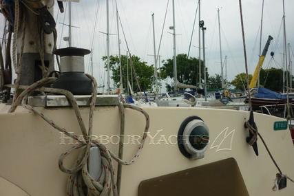 Prout Snowgoose 37