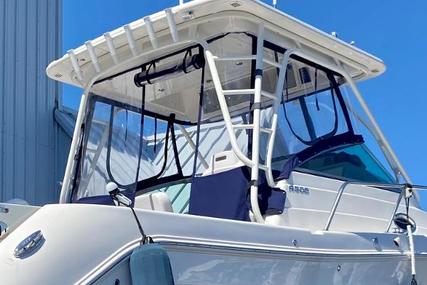 Robalo R305 Walkaround