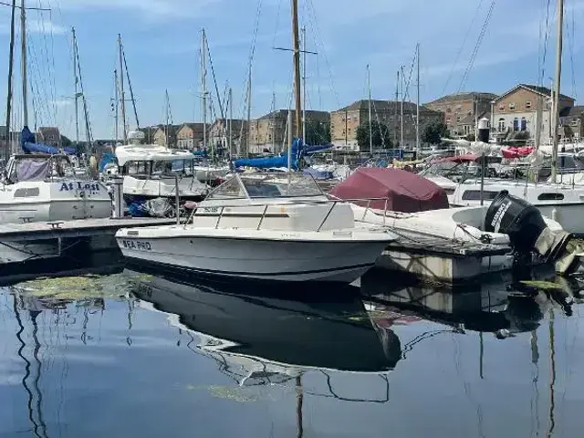 Sea Pro 190 Walk Around